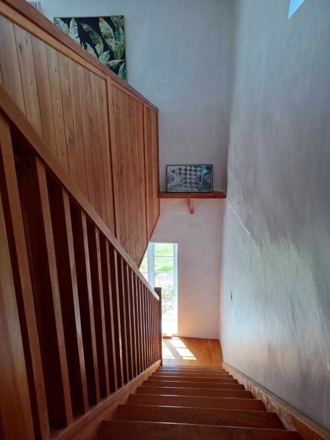Pirita Vineyard Cottage. Upper Moutere Exterior photo
